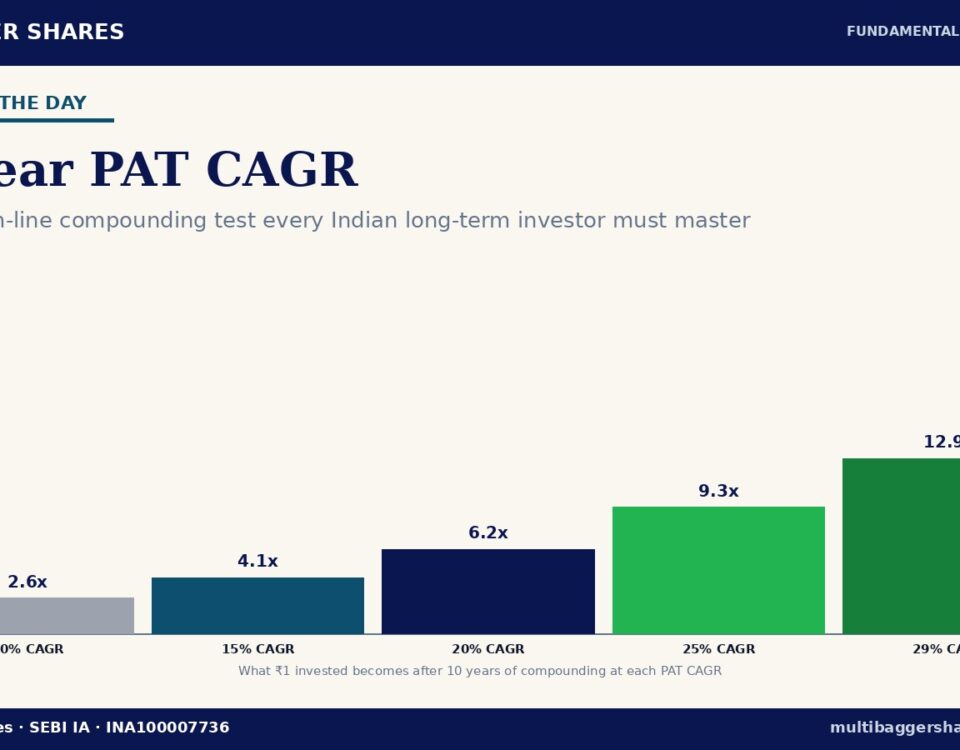 Year Pat Cagr Cover 960x750 - Multibagger Shares