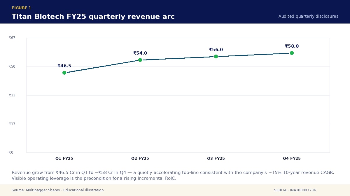 Titan Biotech FY25 quarterly revenue arc