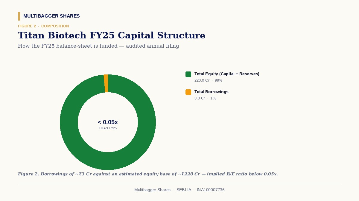 Titan Biotech FY25 capital structure donut
