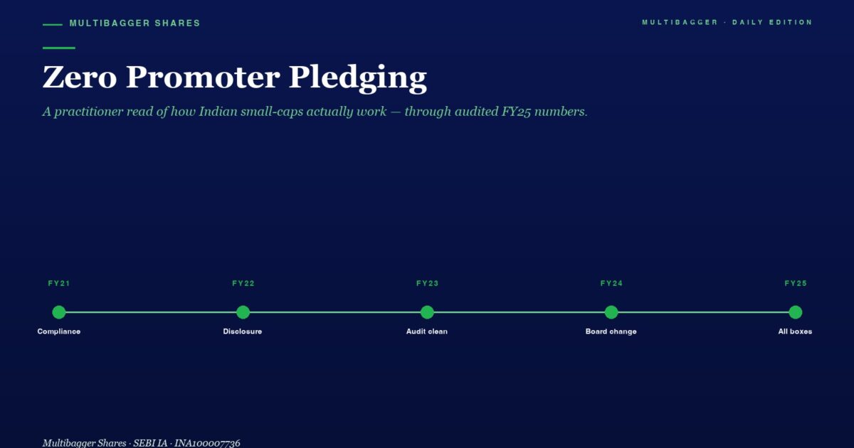 Hero Section with the Title zero Promoter Pledging and a Green Fy21fy25 Milestone Timeline from Compliance to All Boxes