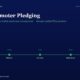 Hero Section with the Title zero Promoter Pledging and a Green Fy21fy25 Milestone Timeline from Compliance to All Boxes