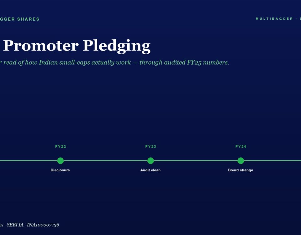 Hero Section with the Title zero Promoter Pledging and a Green Fy21fy25 Milestone Timeline from Compliance to All Boxes
