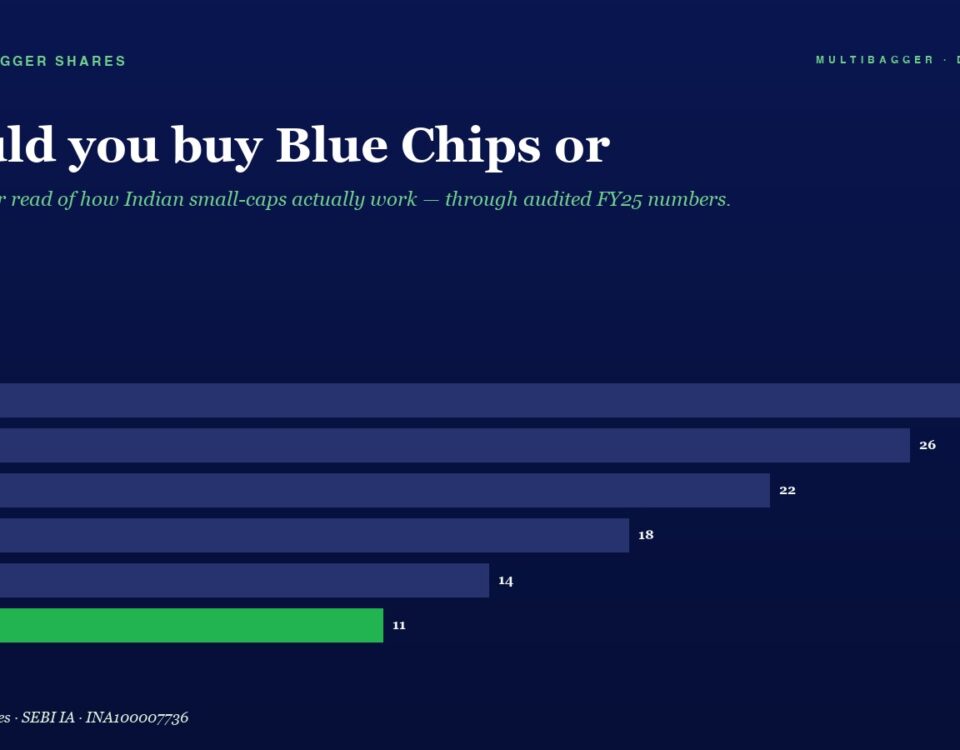 Mbcover Should You Buy Blue Chips Or S 960x750 - Multibagger Shares