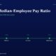 Blue Gradient Hero with the Title ceo to median employee Pay Ratio and a Horizontal Green Milestone Timeline from Fy21 to Fy25 Compliance Disclosure Audit Clean Board Change All Boxes Multibagger Shares Branding Above