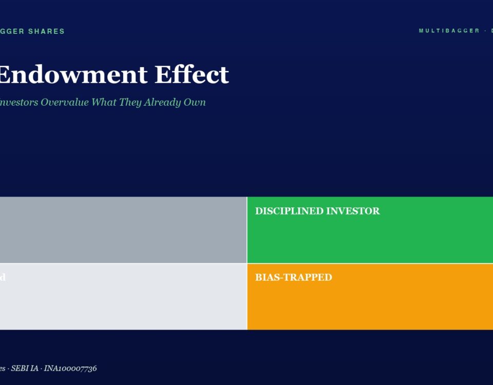 Hero Header with Title the Endowment Effect and Subtitle Followed by a Two by two Color Grid Labeled Lucky Disciplined Investor Confused Bias trapped on a Dark Blue Background