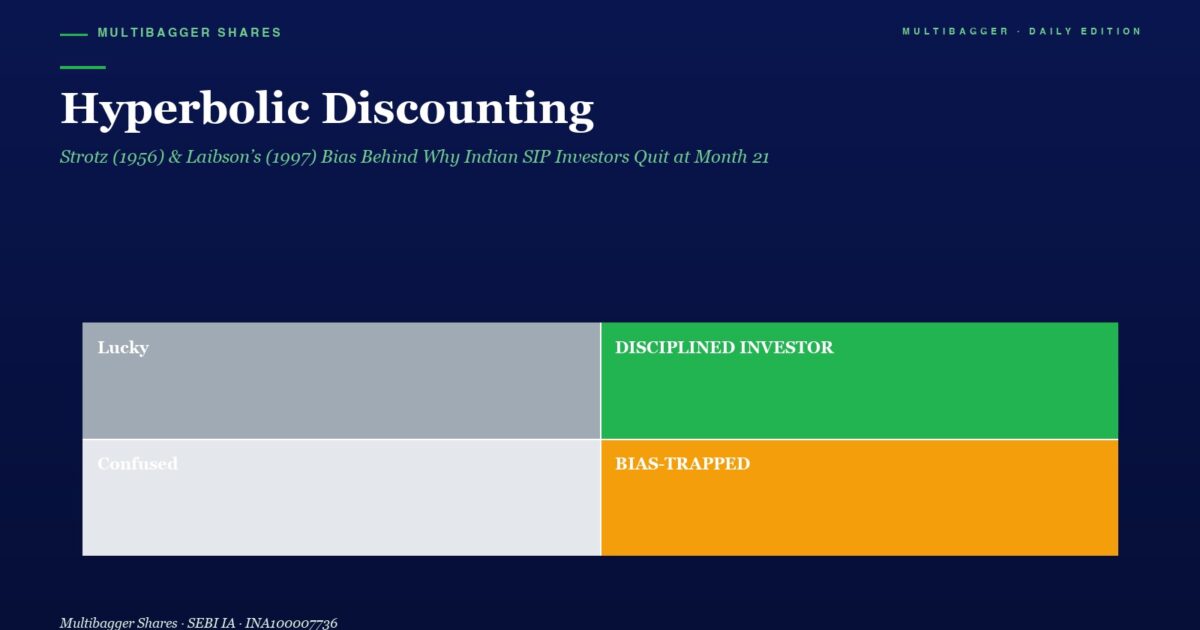 Hero Section with Dark Blue Background and the Title hyperbolic Discounting Plus Subtitle Below a Four block Infographic Labeled Lucky Disciplined Investor Confused and Bias trapped in Gray Green Light Gray and Orange