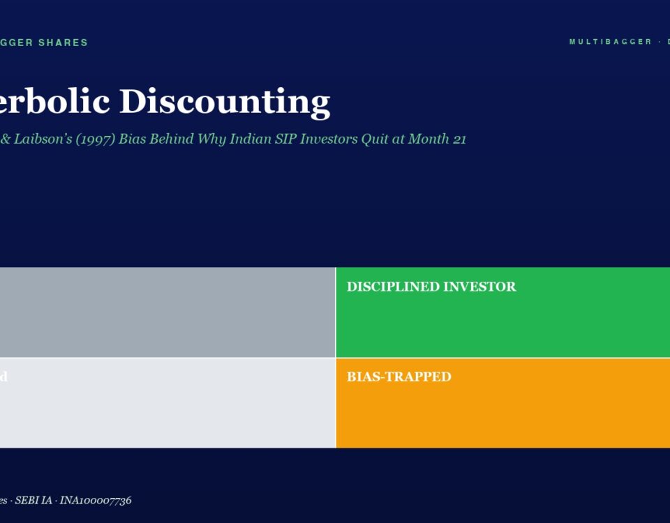 Hero Section with Dark Blue Background and the Title hyperbolic Discounting Plus Subtitle Below a Four block Infographic Labeled Lucky Disciplined Investor Confused and Bias trapped in Gray Green Light Gray and Orange