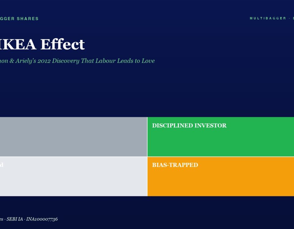 Hero Page with Title the Ikea Effect and Four Colored Blocks Top left Lucky gray Top right Disciplined Investor green Bottom left Confused light Gray Bottom right Bias trapped orange