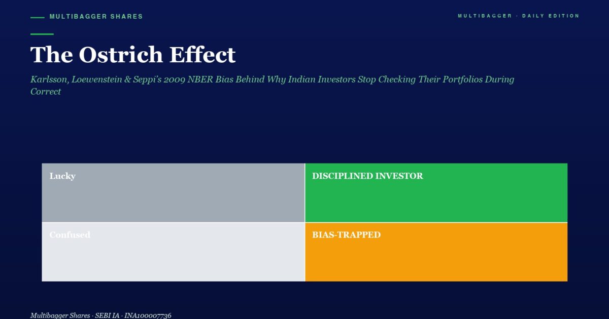 Infographic with Four Colored Blocks Labeled Lucky gray Disciplined Investor green Confused light Gray Bias trapped orange