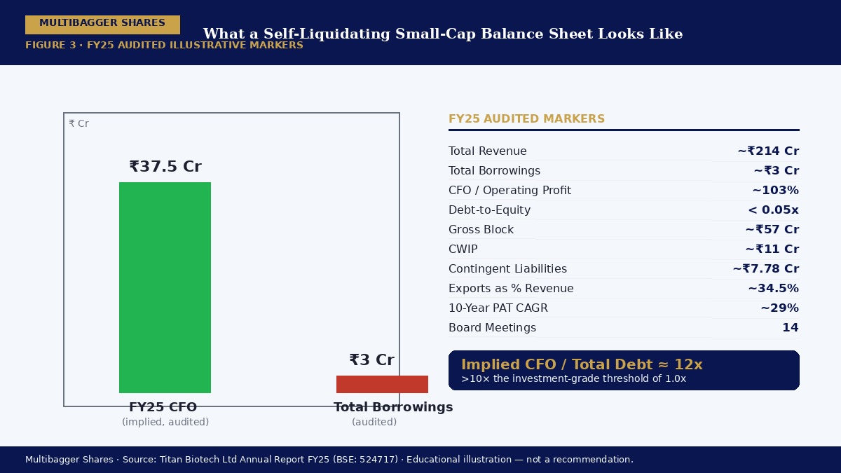 Titan Biotech FY25 CFO versus Total Borrowings audited markers