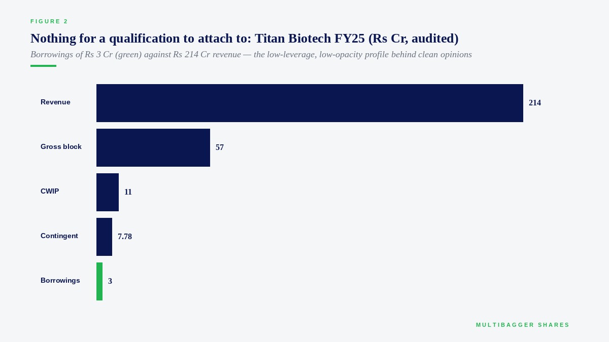 Titan Biotech FY25 audited balance-sheet markers in Rs crore