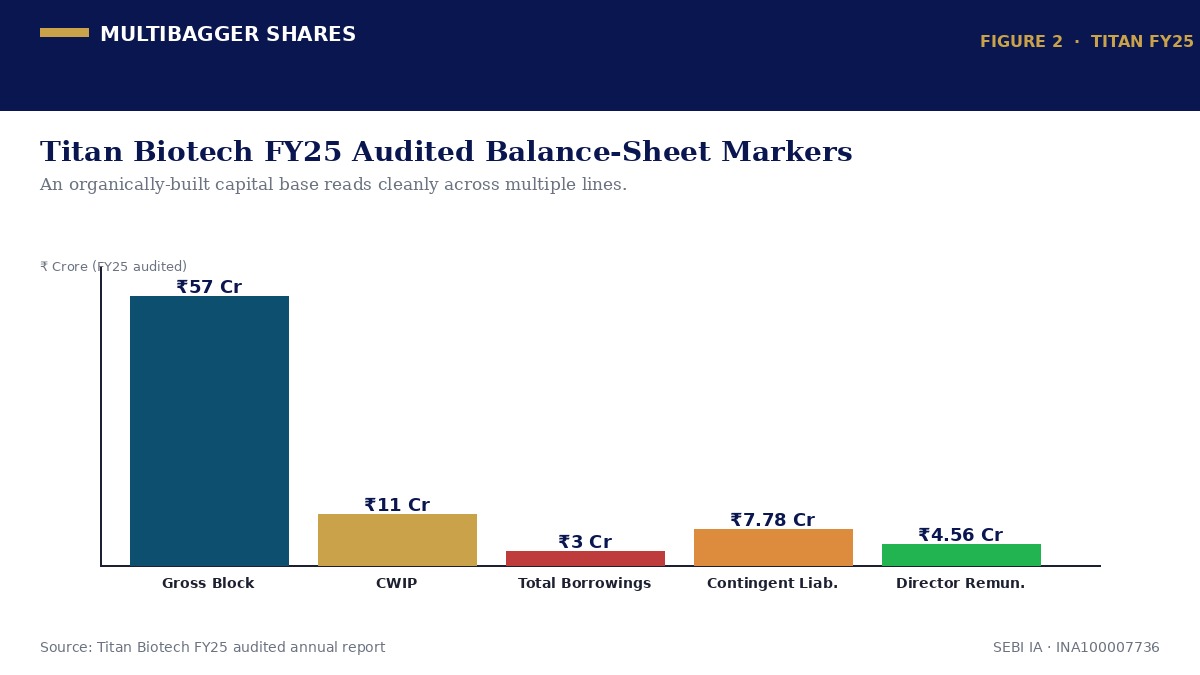 Titan Biotech FY25 Audited Balance-Sheet Markers
