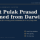Book Cover what Pulak Prasad Learned from Darwin with Subtitle three Simple Rules for Owning Great Businesses for a Very Long Time on a Dark Blue Background