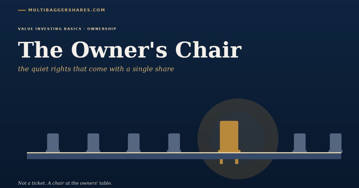 the Owners Chair the Quiet Rights That Come with a Single Share  a Row of Chairs at the Owners Table One of Them Yours