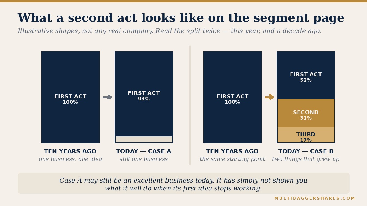 Stacked bars comparing a revenue split unchanged in ten years with one that has grown a second and third business.