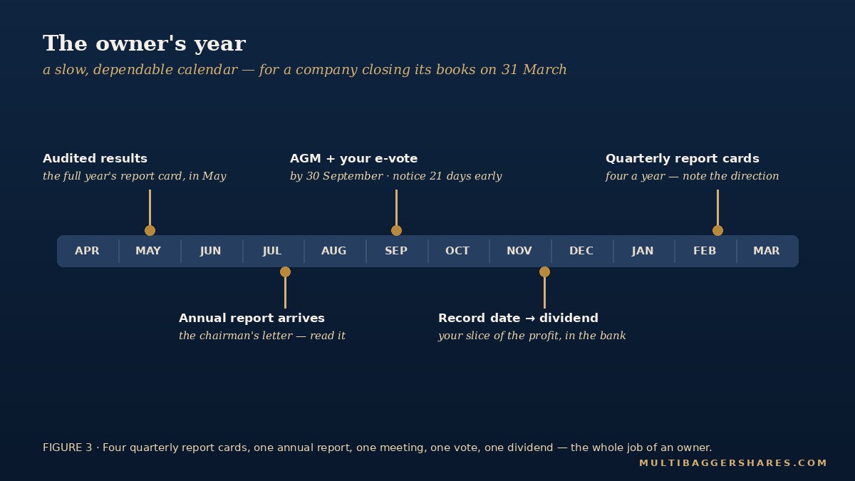 The owner's year — four report cards, one annual report, one meeting, one vote, one dividend.