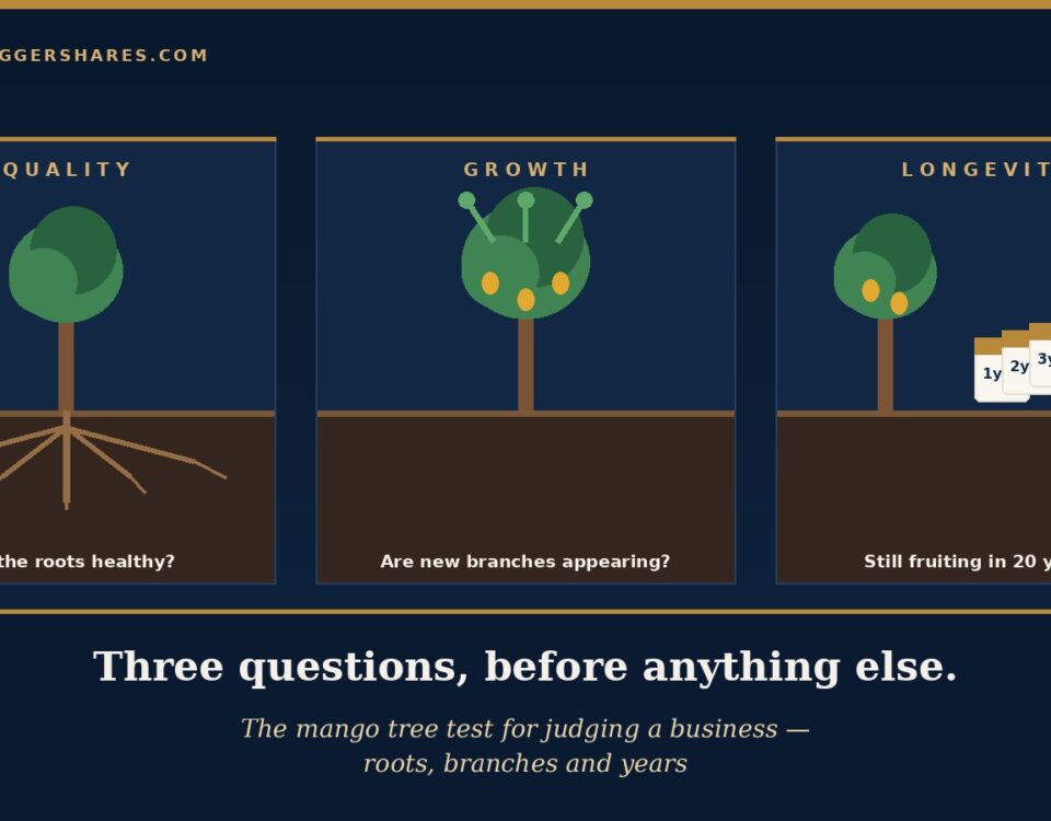 Cover Illustration of a Single Mango Tree Drawn in Three Connected Panels on the Left a Cutaway of Deep Healthy Roots Under the Word Quality in the Middle a Tree with Fresh New Branches Under the Word Growth and on the Right a Row of Calendar Pages Stretching into the Distance Under the Word Longevity with the Headline Three Questions Before Anything else