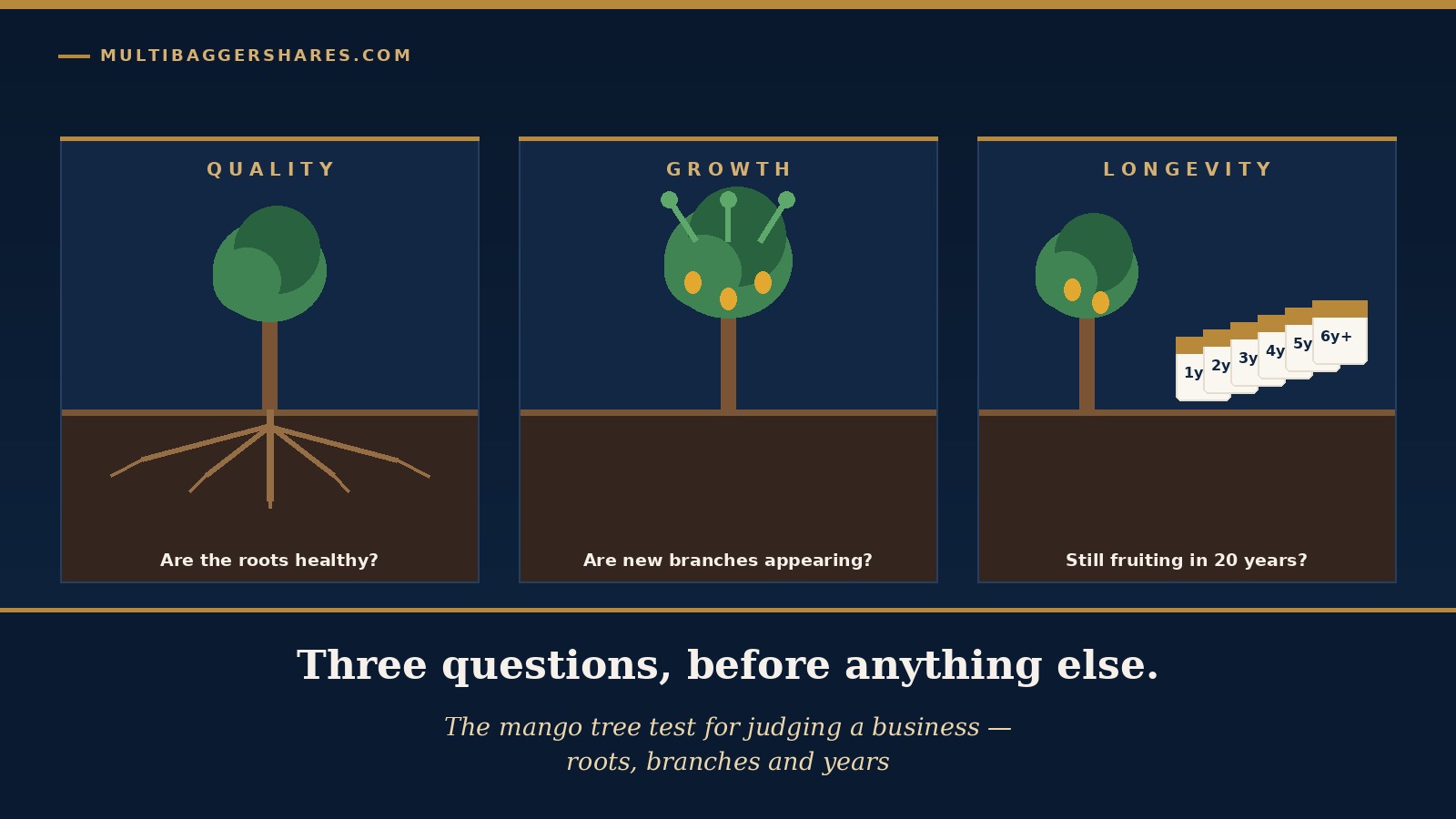 Cover illustration of a single mango tree drawn in three connected panels: on the left a cutaway of deep healthy roots under the word QUALITY, in the middle a tree with fresh new branches under the word GROWTH, and on the right a row of calendar pages stretching into the distance under the word LONGEVITY, with the headline three questions before anything else