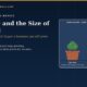 Navy Cover for the Tree and the Size of the Field Showing the Same Sapling in a Clay Pot and in an Open Field