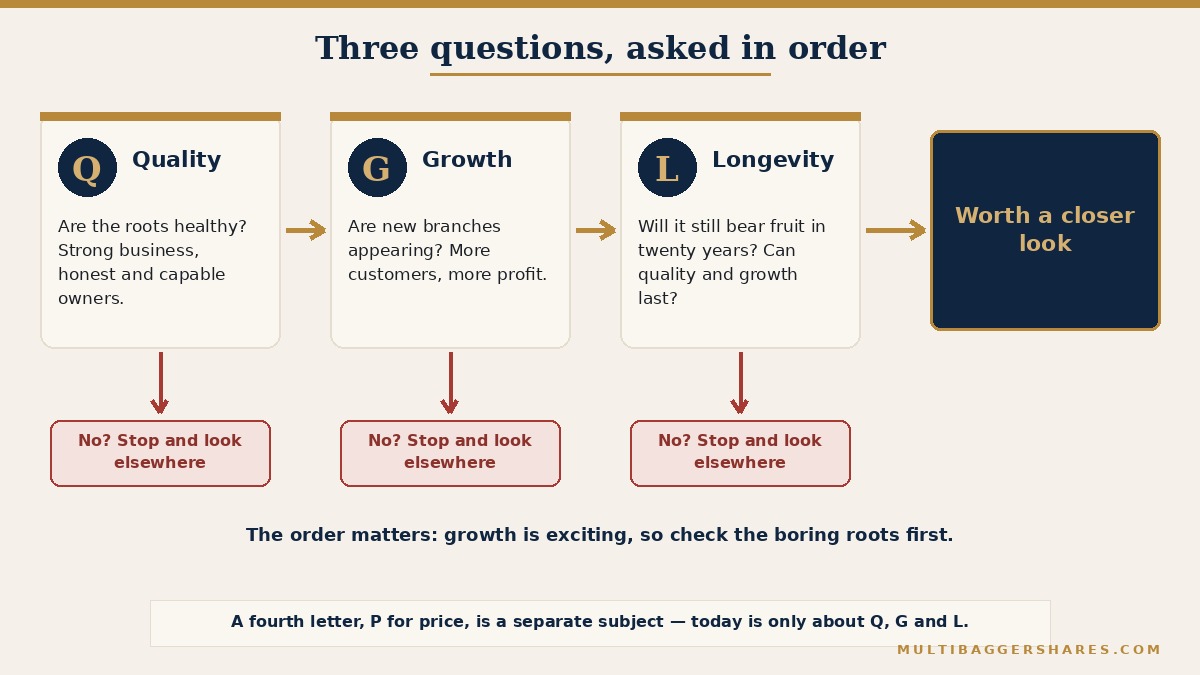A flowchart of three gates read left to right. Gate one is labelled Quality and asks are the roots healthy. Gate two is labelled Growth and asks are new branches appearing. Gate three is labelled Longevity and asks will it still bear fruit in twenty years. An arrow drops out below each gate to a box reading stop and look elsewhere if the answer is no. Only a business that passes all three reaches a final box at the right reading worth a closer look