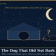 Cover Illustration a Night Sky with a Crescent Moon over a Small Kennel Where a Dog Lies Silent Under the Headline the Dog That Did Not Bark