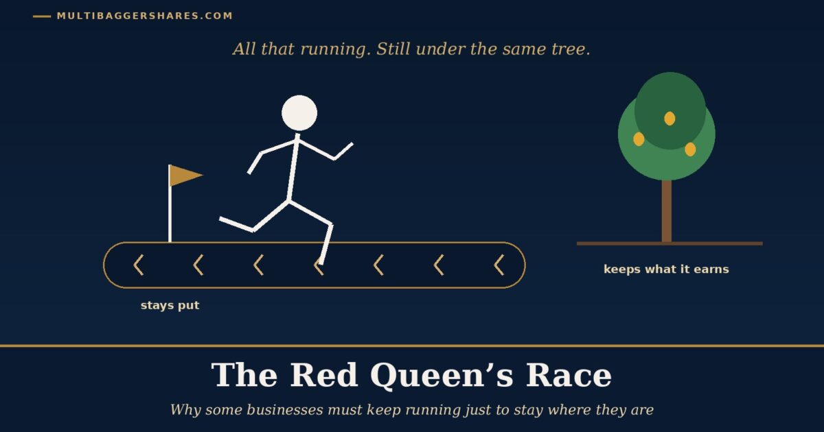 Cover Illustration a Running Figure on a Moving Belt That Carries the Ground Backwards a Small Gold Flag Staying in the Same Spot and a Calm Tree Standing Still on the Right Under the Headline the Red Queens Race