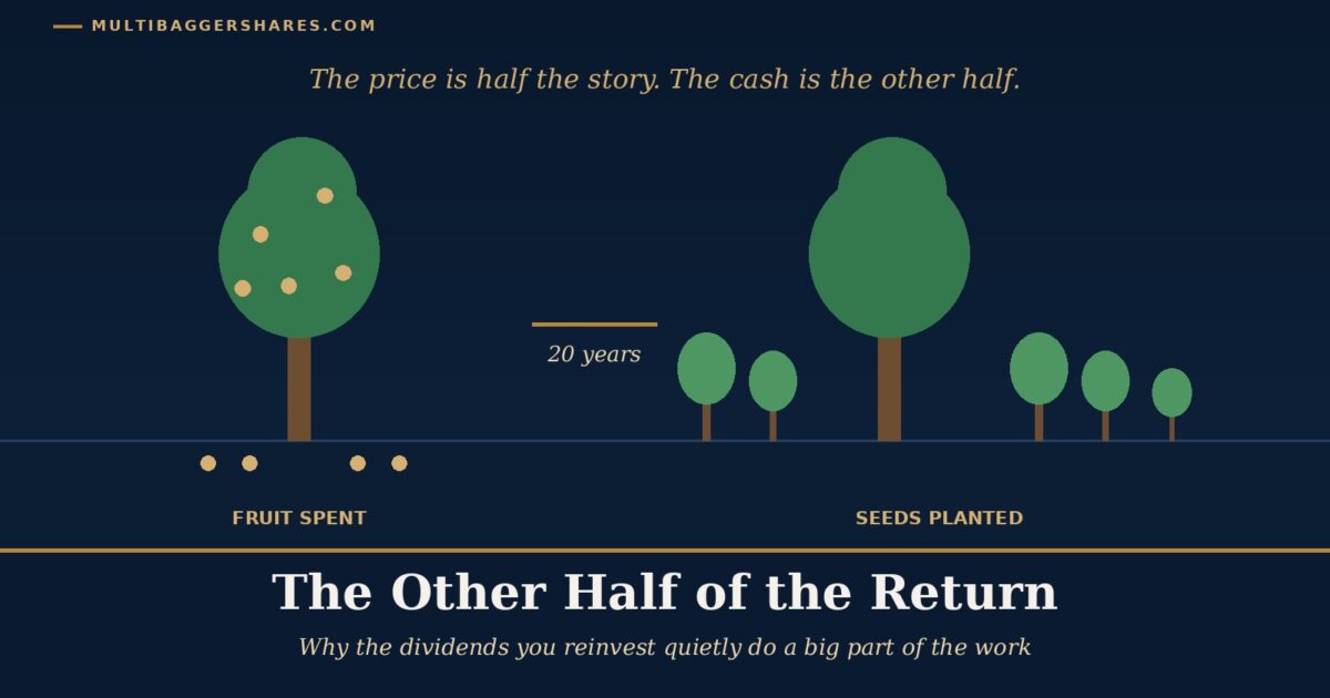Cover Illustration Two Small Trees Side by Side One with a Few Fallen Fruits on the Ground and One with a Growing Orchard of Young Trees Around It Under the Headline the Other Half of the Return