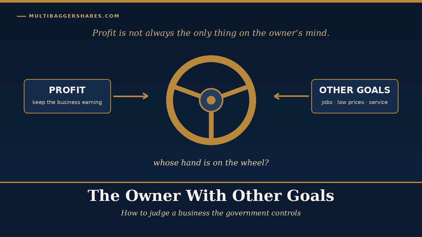 Cover illustration: a gold steering wheel with two hands on it, one hand labelled profit and the other labelled other goals, under the headline The Owner With Other Goals