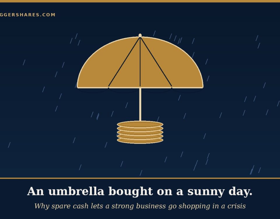 Cover Illustration a Large Gold and Navy Umbrella Drawn over a Neat Stack of Gold Coins with Raindrops Falling Around It Under the Headline an Umbrella Bought on a Sunny Day