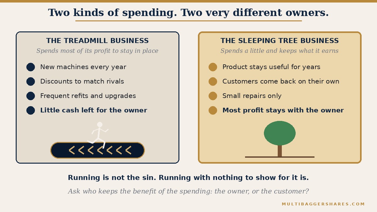A side by side picture. On the left, a treadmill business: it spends heavily on new machines, discounts and upgrades, and after the spending it stands exactly where it began. On the right, a sleeping tree business: it spends little, and what it earns stays with the owner year after year.