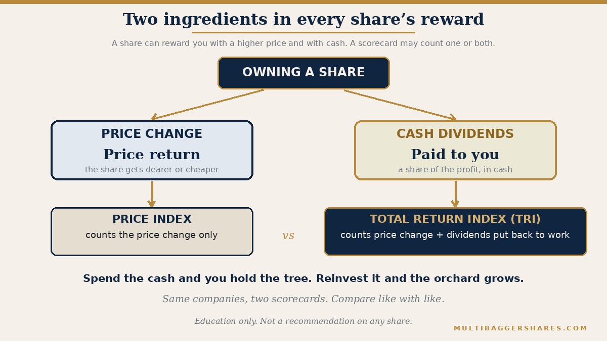 A flowchart. The reward of owning a share has two ingredients: the change in the share price, which is called price return, and the dividends paid in cash. A price index counts only the first ingredient. A total return index counts both and assumes the dividends are put back to work. If you spend the dividends you collect the cash; if you reinvest them they buy more shares, which earn their own price change and dividends in later years.